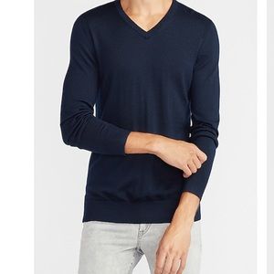 EXPRESS Merino Wool-Blend V-Neck Sweater
